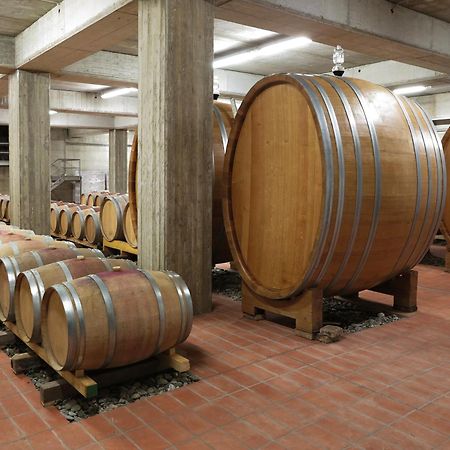 Poderi Firenze Cinigiano Exterior photo