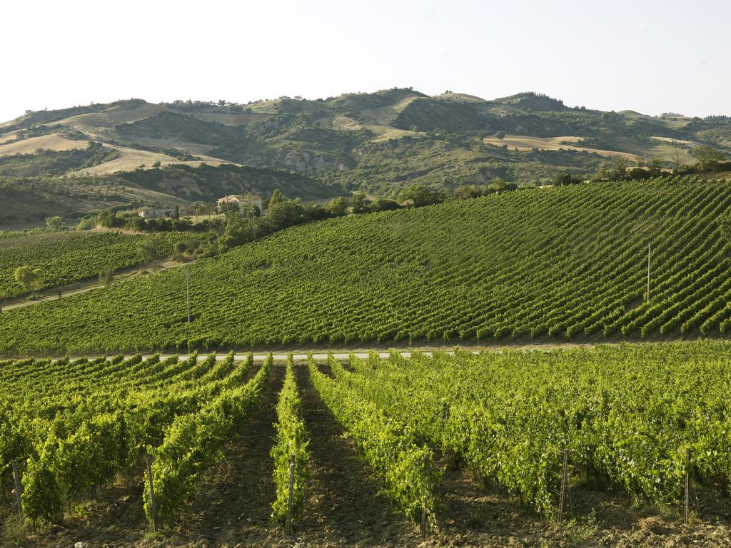 Poderi Firenze Cinigiano Exterior photo
